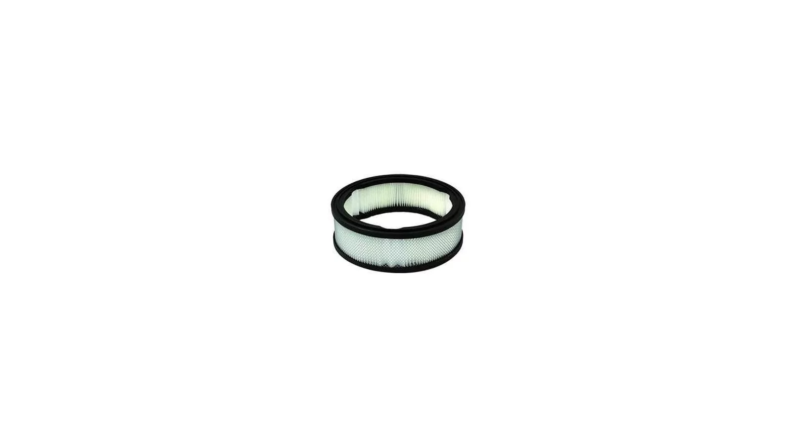 Cartouche polyester pour aspirateur GS 3/78 OIL - ICA